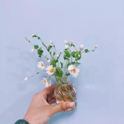 仙缘幻剑内购破解版下载
